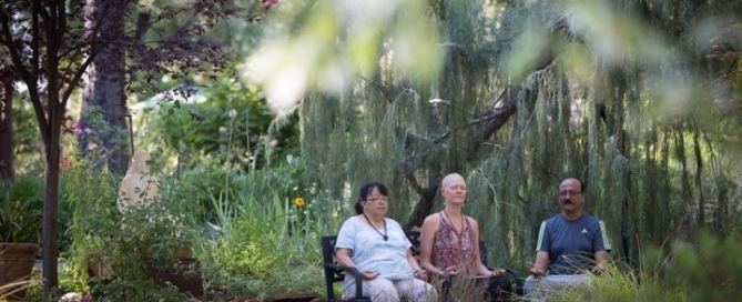Healing Yoga Retreats after a Cancer Diagnosis