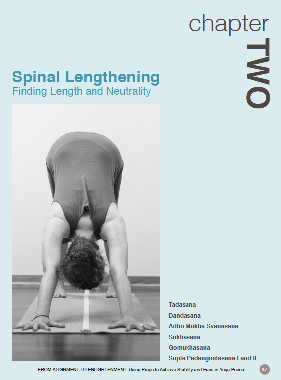 From Alignment to Enlightenment: Using Props to Achieve Stability and Ease in Yoga Poses Book
